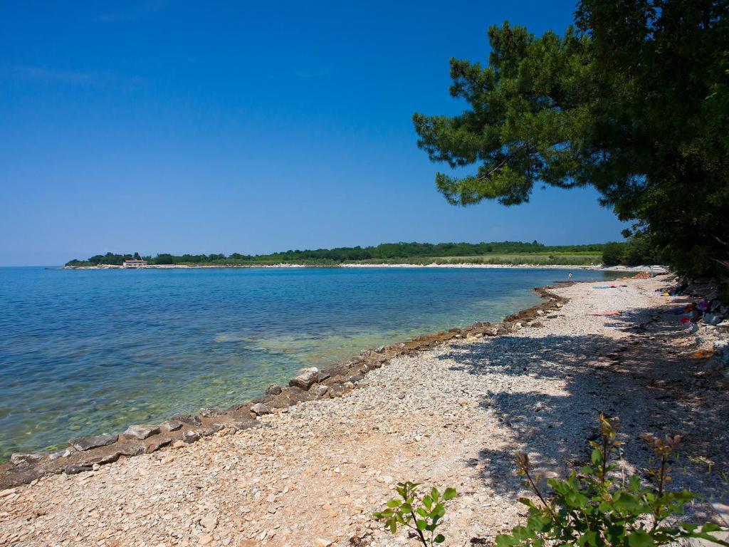 Camping Adria Mobile Homes In Camping Kastanija Novigrad Istria Buitenkant foto